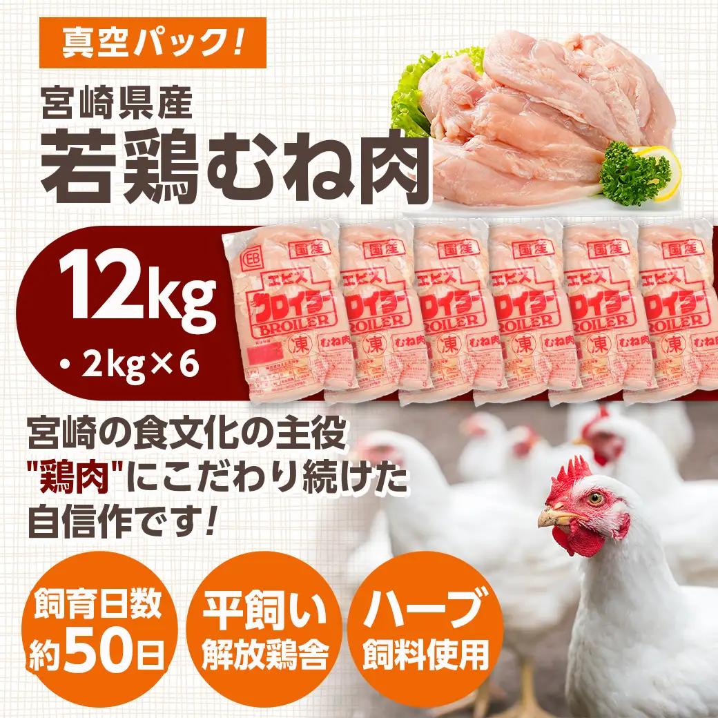 宮崎県産若鶏 むね肉(12kg)〔AC-G301〕_(都城市) 若鶏 鶏肉 真空 むね肉 真空 宮崎県産 平飼い ハーブ やわらかく ふっくら ジューシー 冷凍 便利 保水性 やわらか 冷凍 便利 保