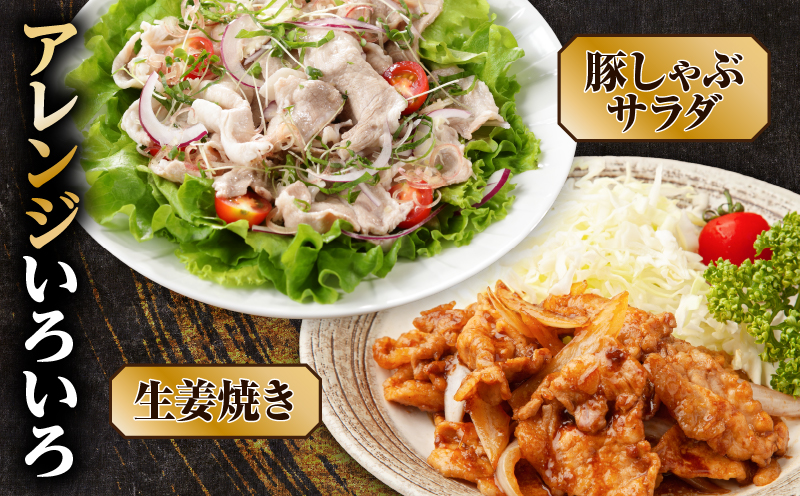 【数量限定】鹿児島県産 黒豚切り落とし 1kg　K025-001_02