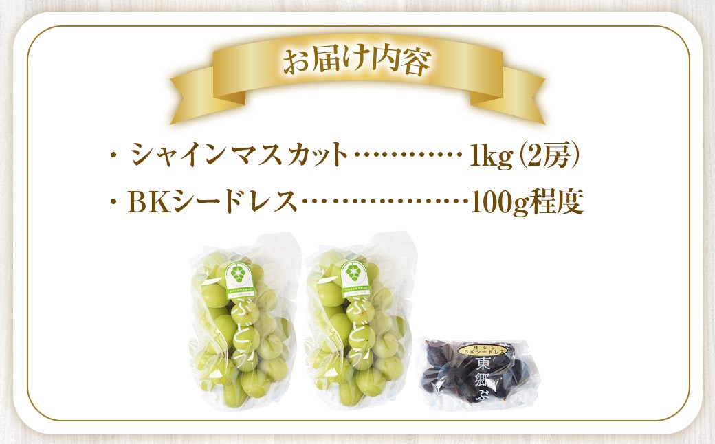 【先行予約】 朝採れ シャインマスカット （種なし） 1.0kg（2房） お試し用 朝採れ BKシードレス付き（100g程度）