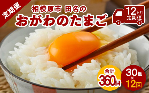 
【12ヶ月定期便】相模原市田名のおがわのたまご　ピンク卵　Mサイズ 30個(27個＋割れ補償3個)×12か月
