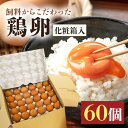 【ふるさと納税】鶏卵60ヶ入り化粧箱 鶏卵 60個 化粧箱入り 卵 生卵 60ヶ たまご タマゴ 玉子 国産 茨城県産 健康 美容 ご飯 すき焼き 目玉焼き 卵焼き 玉子焼き たまご焼き 16-B