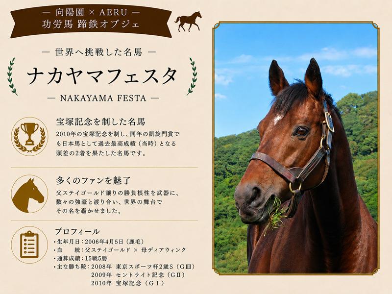～ナカヤマフェスタについて～