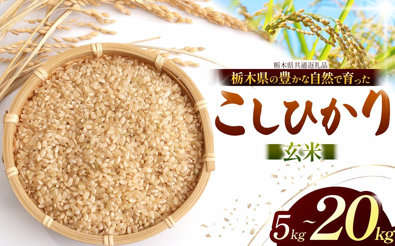 
                  【チョイス限定】 こしひかり（玄米）選べる内容量 約 5kg ~約 20kg 栃木県共通返礼品｜コシヒカリ 米 玄米 おいしい お米 こめ おこめ  国産 ごはん ご飯 白飯 米 おこめ 限定 ランキング 人気  ふるさと 納税 栃木県 那珂川町 送料無料
                