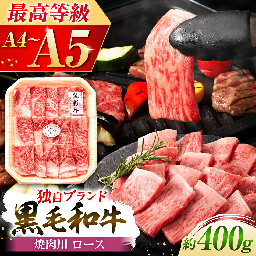 【ふるさと納税】フジチク 藤彩牛 ロース 焼肉用 約400g 牛肉 黒毛和牛 国産 / 和牛 牛ロース 焼肉 焼き肉 熊本 熊本県産 国産 赤身 ブランド牛 ブランド和牛 バーベキュー BBQ 黒毛和種 人気【株式会社フジチク】[BHAD003]