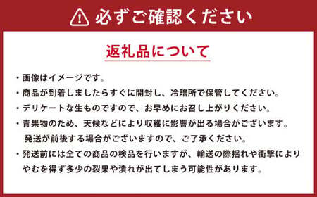 【年3回定期便】  くまもと の すいか 食べ比べ 定期便 合計4玉 スイカ 西瓜 果物 くだもの フルーツ 【2026年4月上旬発送開始】