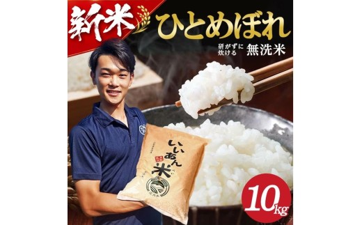 無洗米 ひとめぼれ 5kg×2袋 計10kg 令和8年産米 山形県庄内産 いいあん米 米 お米 庄内米 白米 ごはん ブランド米 東北 山形県 酒田市 庄内 農家直送 アグレスト　SB0937