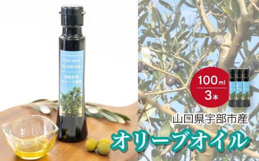 
山口県宇部市産 オリーブオイル 100ml×3本 【山口県宇部市産 宇部産 オリーブオイル オリーブ ギフト 贈り物 山口県 宇部市 ドレッシング ソース 東岐波黒崎 東岐波里海再生の会 料理 サラダ 肉料理 魚料理 健康 ヘルシー ふるさと納税 返礼品】
