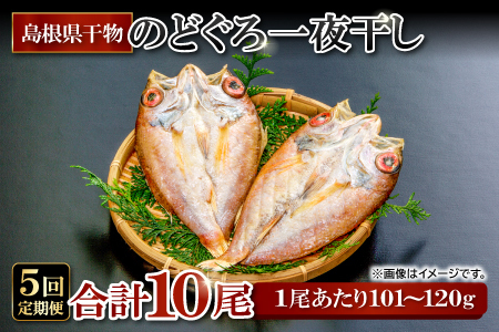 のどぐろ一夜干し 2尾 【5回定期便】【のどぐろ 干物 1尾あたり101～120g 2尾 のどぐろ干物 10枚 ノドグロ あかむつ アカムツ 新鮮 一夜干し 個包装 小分け 真空パック 冷凍 贈答 父