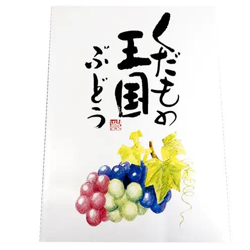 ぶどう 詰合せ シャインマスカット マスカットノワール 岡山県産 ぶどう 詰合せ【約2kg3～5房】【先行予約】