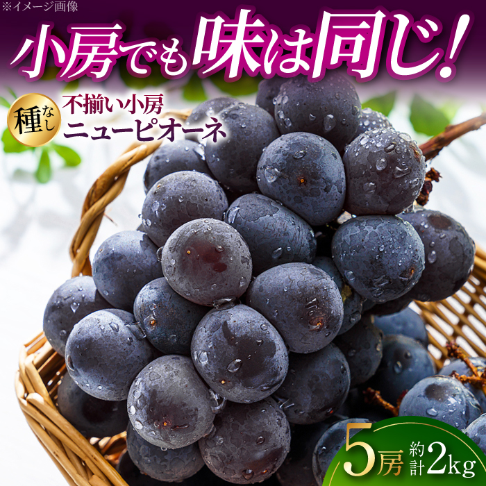 【2026年先行予約】不揃い小房ニューピオーネ5房（約2kg）＜8月下旬頃から順次発送＞  訳あり 不揃い 家庭用 種なし ぶどう ピオーネ フルーツ 果物 ブドウ 三次市/黒瀬ぶどう園 [APAB003]