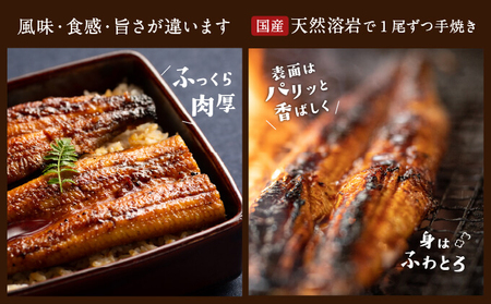 【浜名湖産】朝じめ うなぎ 溶岩焼き 蒲焼き 3尾（約140g×3尾）