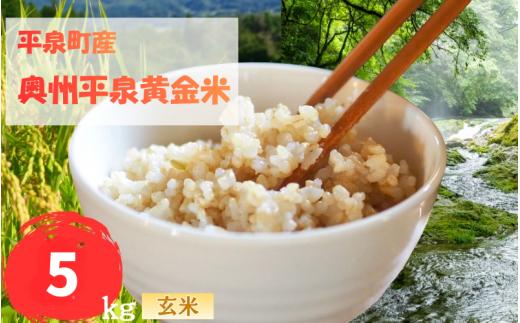 【先行予約受付中！】令和8年産 11月以降順次発送！ 平泉町産 奥州平泉黄金米 玄米5kg / こめ コメ 米 お米 おこめ 玄米 ご飯 ごはん ライス 山水【aoki015A】