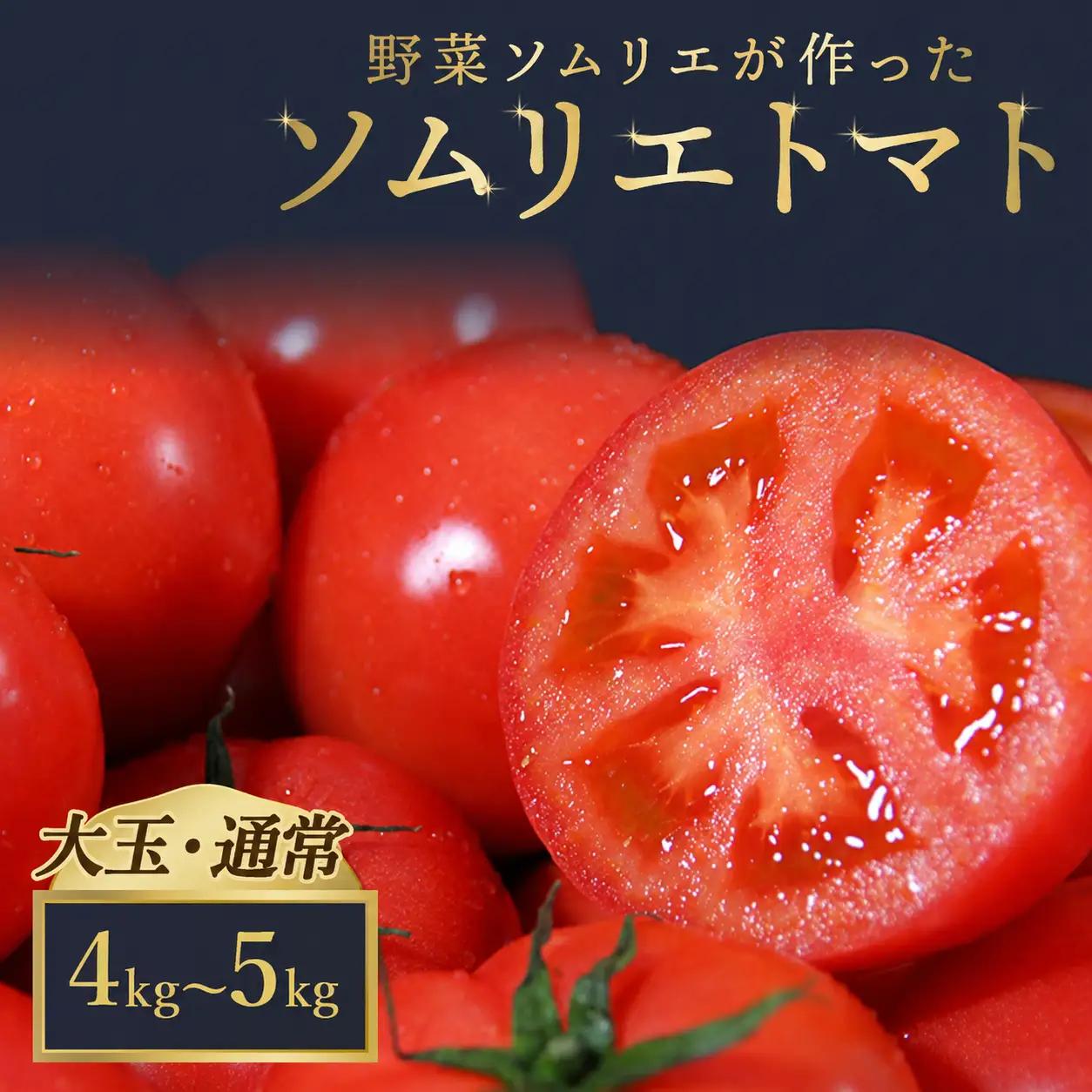 トマト 大玉 4kg～5kg｜レッドアップ