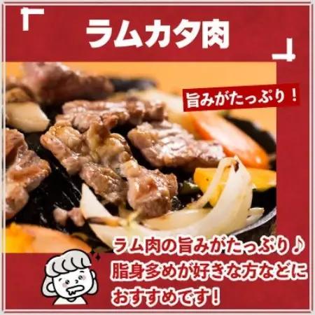 秘伝のタレ漬け 熟成 ジンギスカン ラムカタ 120g×5袋 冷凍 あんべ 安部商店【配送不可地域：離島】【1569001】