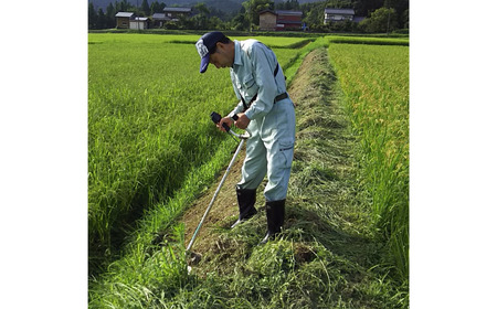 新潟県認証コシヒカリ 10kg 特別栽培米コシヒカリ 5kg×2 令和7年産