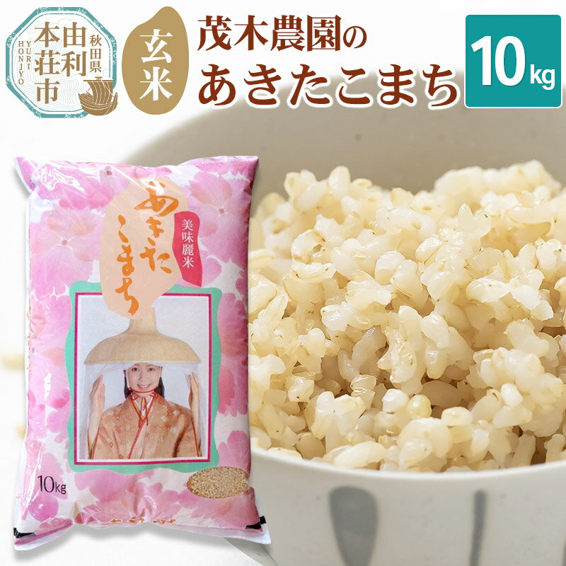 【ふるさと納税】《令和7年産》【玄米】10kg あきたこまち 秋田県産 茂木農園のあきたこまち 玄米 10kg
