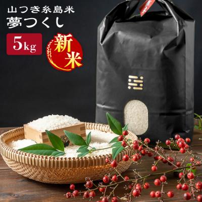 ふるさと納税 糸島市 糸島で育てた山つき糸島米5kg(夢つくし) 糸島市/itoshimacco[ARJ014]