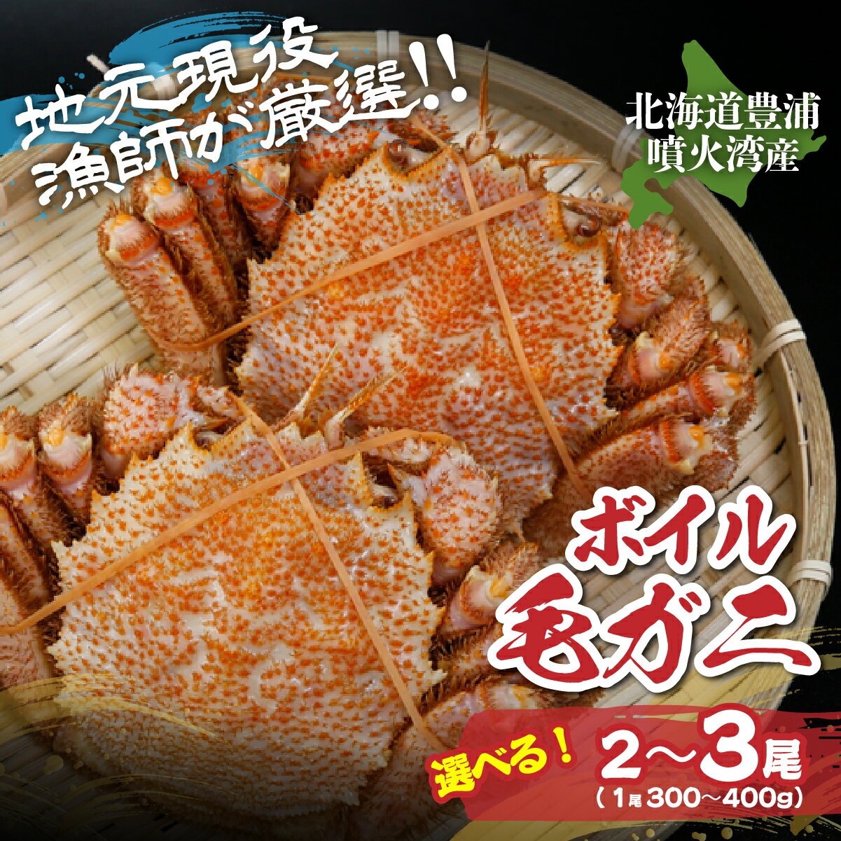 【ふるさと納税】【地元現役漁師が厳選！！】ボイル・毛ガニ 選べる内容量 2尾～3尾（1尾300～400g） 【 ふるさと納税 人気 おすすめ ランキング 魚介類 カニ 蟹 かに 毛がに 毛蟹 大容量 お得 北海道 豊浦町 送料無料 】