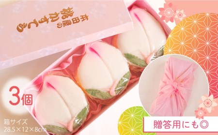 【2024年2月〜発送】【季節限定】 桃カステラ 3個入り / かすてら カステラ 桃かすてら 節句 / 南島原市 / 本田屋かすてら本舗[SAW036]