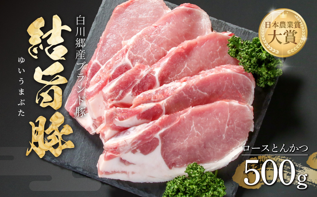 
                  結旨豚 ロースとんかつ 500g 飛騨高山ミート 8000円 [MS002] 
                