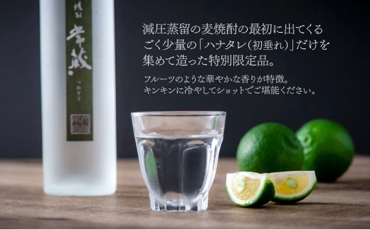 創業150周年記念酒★麦焼酎常蔵「ハナタレ（初垂れ）」（300ml）