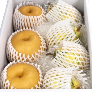 新潟特産 和梨と幻の洋梨ル・レクチエ セット《2023年11月中旬～お届け》（新興梨 3個 ルレクチエ 4個）果物 フルーツギフト 冬の味覚 産地直送加茂市 山伴しなの川フルーツガーデン ルレクチェ 