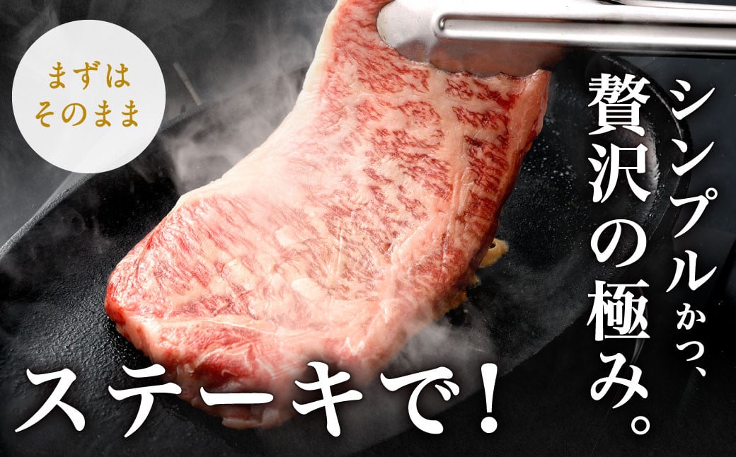 九州産 黒毛和牛 サーロインステーキ 約500g (約250g×2枚) 牛肉 国産 ステーキ