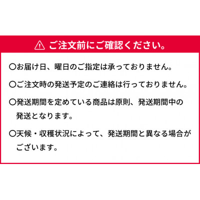 【2026年発送】岡山県産　白桃(晩生種)約2.2kg(大玉6〜7玉)【配送不可地域：離島】【1493192】