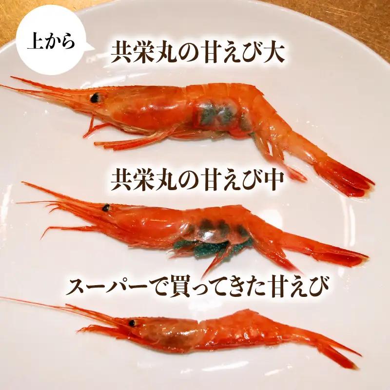 プレミアム甘えび 約650g 大サイズ エビ [A-23111]