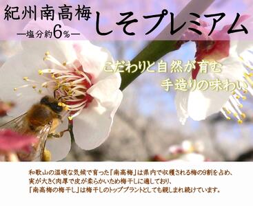 紀州南高梅 しそプレミアム塩分約6％ 500g ［YM13m］ A-095a