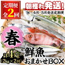 【ふるさと納税】＜定期便・全2回(4月・5月)＞「春の鮮魚BOX」朝獲れ発送！鮮魚問屋が厳選したおまかせ鮮魚(約2kg程度×2回)魚 魚介類 鮮魚 海鮮 詰め合わせ セット 刺身 天ぷら 煮つけ 塩焼き【江川商店】【0301101b】