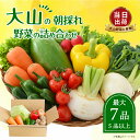 【ふるさと納税】MS-01 新鮮朝採れ野菜　お手ごろセット 野菜詰め合わせ 野菜 生野菜 果物・加工品 朝どれ野菜 野菜セット 詰め合わせ 野菜加工品 バラエティセット 料理 新鮮 鳥取県 鳥取県産 大山町 大山 サラダ 常温保存 くだもの やさい 6種類以上