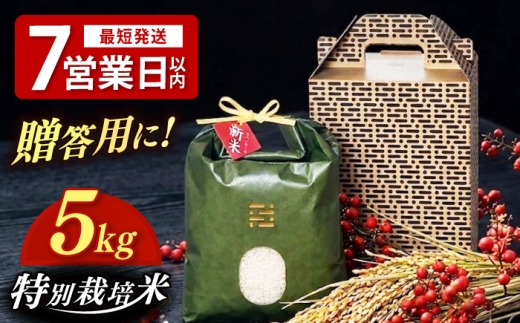 【黒箱】とくべつ の中の とくべつ 特別栽培米 夢つくし 5kg itoshimacco《築上町》【株式会社やました】 [ABEX005-2]