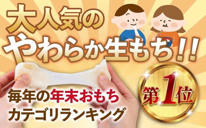 築上町産 本格 杵つき 生もち 90個 (10個×9パック)《築上町》【アルク農業サービス合同会社】 餅 お餅 もち [ABAB002] 12000円  12000円 