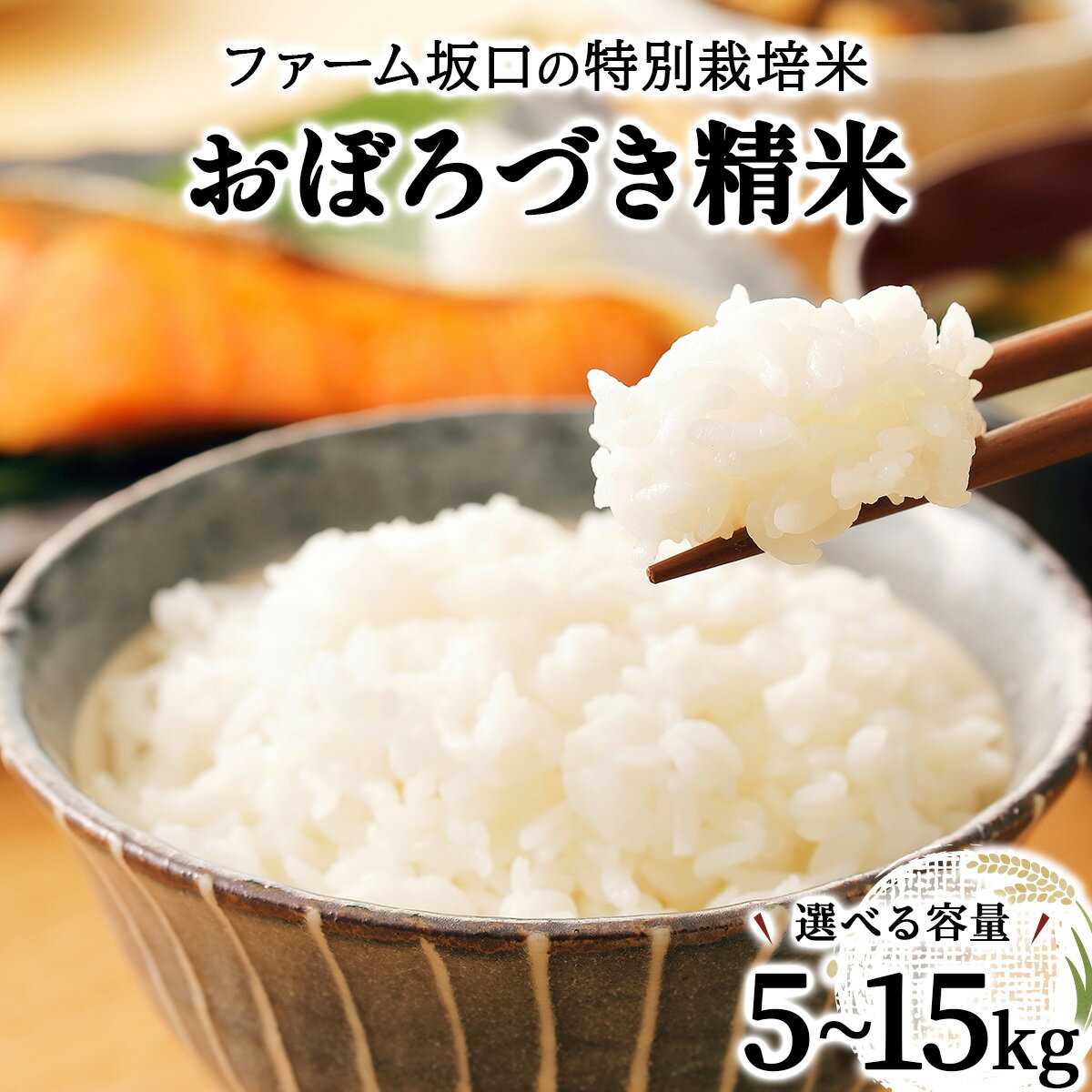 【ふるさと納税】＜選べる容量＞令和7年産!ファーム坂口の特別栽培米 おぼろづき精米 5kg~15kg | 北海道岩見沢産 おぼろづき 精米 5kg 10kg 15kg 北海道 岩見沢市