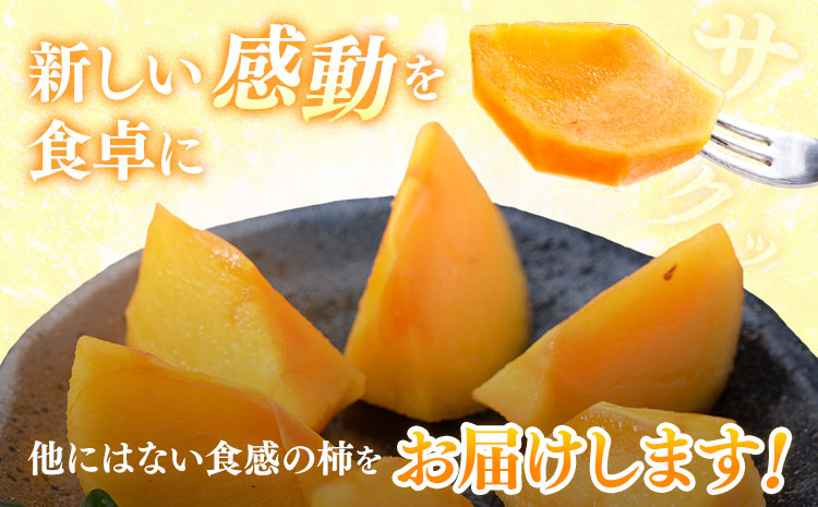 【先行予約】柿 太秋柿 たいしゅうがき 約3kg 日本フルーツ株式会社《2026年9月上旬-10月下旬頃出荷》熊本県 菊池市 柿 かき 熊本県産 秋の味覚 果物 くだもの フルーツ デザート