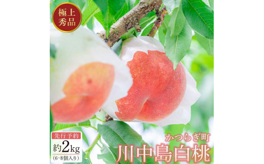 
            先行予約！［モモ］川中島白桃　約2kg 6～8個入［2026年7月末頃から順次発送］［秀品］こだわり農家厳選 ［KG13］
          