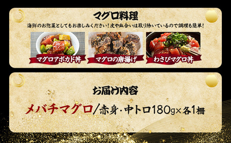 厳選メバチマグロ赤身、中トロ食べくらべ【誉丸】 _mh014