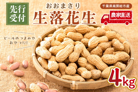 【先行受付 2025年9月中旬～11月中旬発送予定】『おおまさり 生落花生 4kg』農家直送！ mi0039-0007 ｼﾞｬﾝﾎﾞ落花生 ﾋﾟｰﾅｯﾂ 豆 おつまみ おやつ