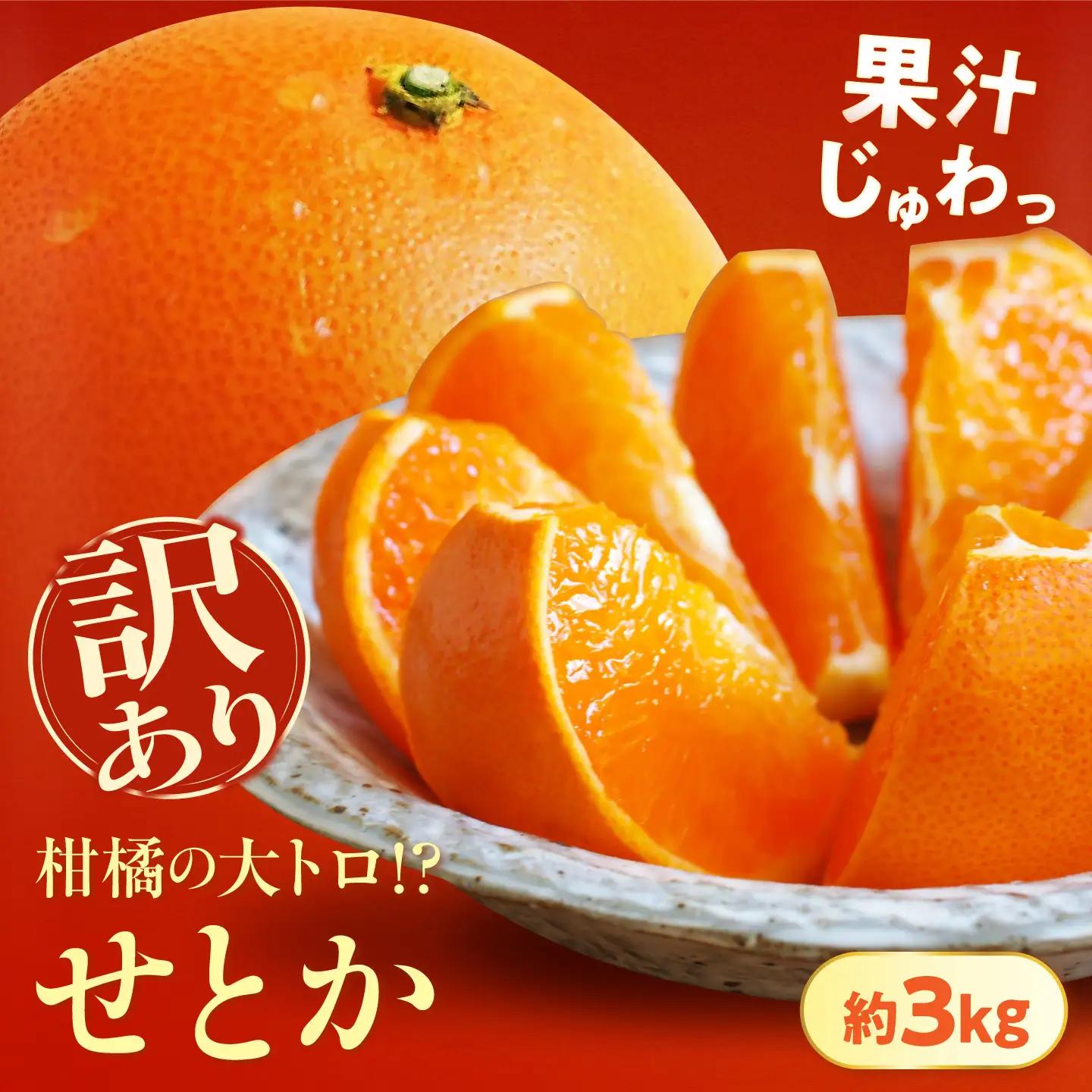 みかん 訳あり せとか 約3kg フルーツ 果物 みかん 訳あり BJBE002