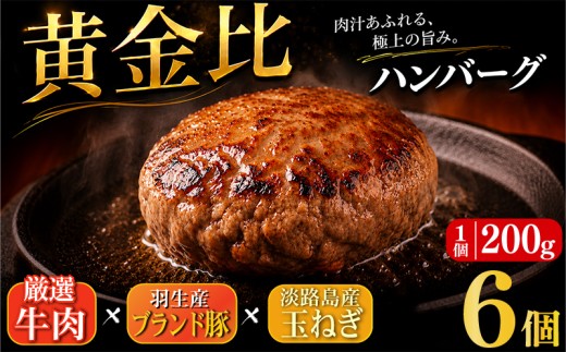 大判ハンバーグ ハンバーグ 牛肉 豚肉 あいびき 1.2kg 小分け 個包装 大判ハンバーグ 惣菜 冷凍 合挽きハンバーグ 保存料不使用 国産 はんばーぐ hannba-gu ハンバーグ ランキング 人気ハンバーグ 肉 弁当 冷凍食品 簡単調理 国産ハンバーグ ふるさと納税ハンバーグ ハンバーグ食べ比べ にく 冷凍 はんばーぐ 冷凍はんばーぐ おかず 簡単 惣菜 お惣菜 hannba-gu