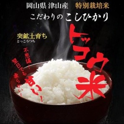 【突鉱土育ち】津山産トッコウ米(こしひかり)玄米30kg【1361987】
