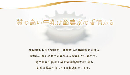 牛乳屋さんが作ったアイスクリーム 9個セット【B309】