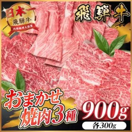 飛騨牛　おまかせ焼肉3種セット約900g(各約300g)訳あり　BBQ　上カルビ・ロースなど【配送不可地域：離島】【1739037】