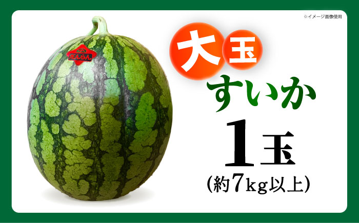 【先行予約】 大玉スイカ 約7kg以上（1玉） 【とみおか農園】 [ZEM004]