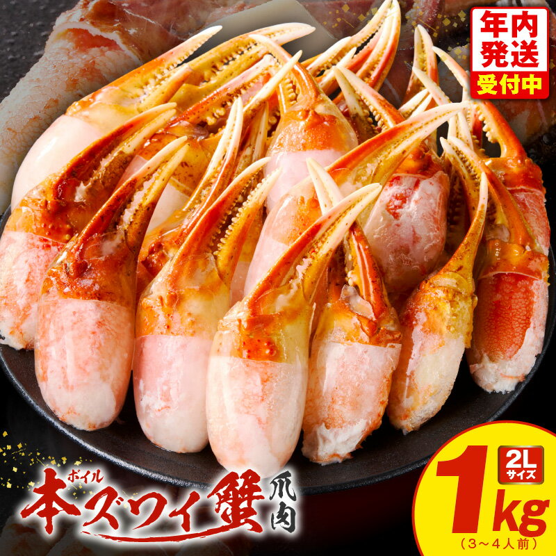 【ふるさと納税】ボイル 本ズワイ蟹 爪 1kg カット 済み 2L サイズ (3-4人前) むき身 かに鍋 しゃぶしゃぶ 焼きガニ バター焼き 簡単 ジューシー プリプリ 年内発送 大阪府 泉佐野市 送料無料