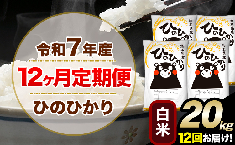 令和7年産【12ヶ月定期便】 白米 ひのひかり 20kg 5kg×4袋《お申し込みの翌月から出荷》熊本県産 単一原料米 南阿蘇村 ひのひかり 送料無料 熊本県 米 コメ こめ 国産---hn7tei_516000_20kg_mo12_mna_h---