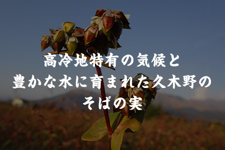 自然豊かな南阿蘇の粗挽きそば 10袋(20束) つゆ20食付き あそ望の郷くぎの そば道場《90日以内に順次出荷(土日祝を除く)》 熊本県南阿蘇村 蕎麦