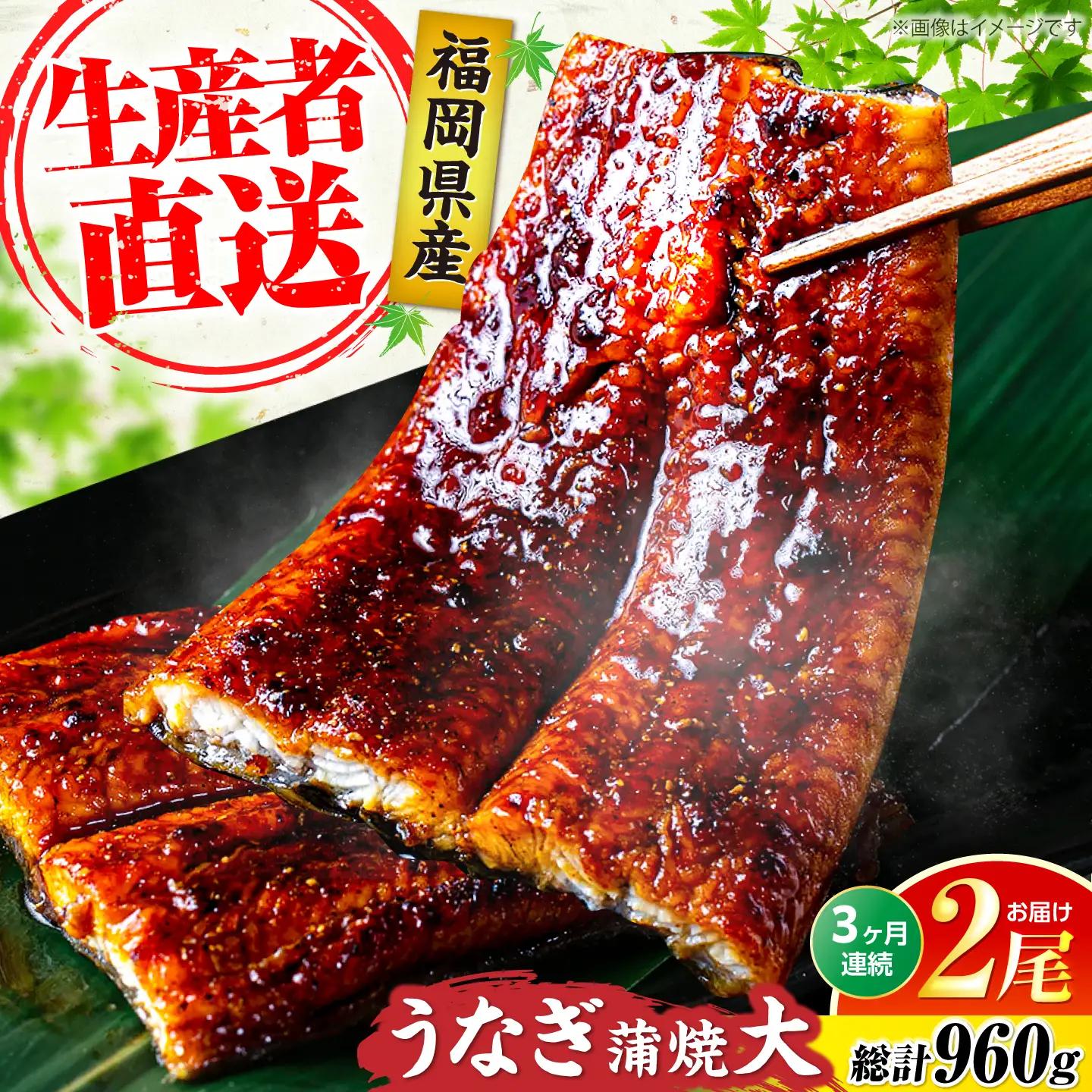 【全3回定期便】福岡県産 うなぎ 蒲焼 大2尾 VAD011 うなぎ