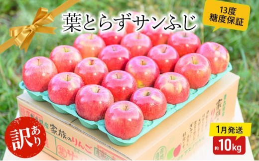 
                  【 1月発送 】 糖度13度以上 訳あり品 家庭用 葉とらず サンふじ 約 10kg 【 青森りんご 】 果物 フルーツ デザート 食後 青森県産 産地直送
                